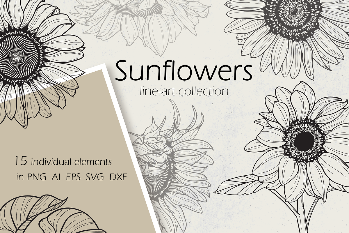 Sunflower line art collection, a Decorative Illustration by DamriNa art (Photo 1 of 8)
