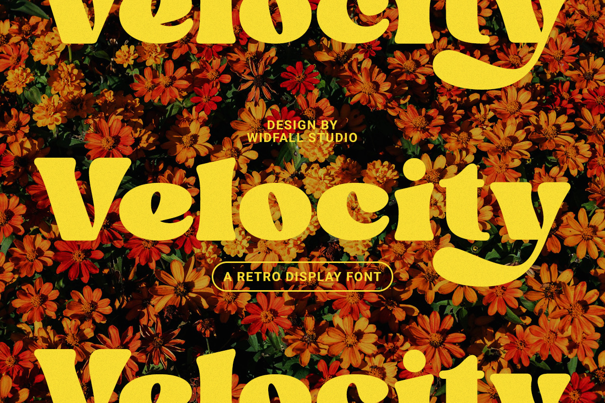 Velocity - Dynamic Retro Display, a Serif Font by Windfall Co (Photo 11 of 11)