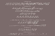 Malladive Handwritten Script Font, a Script Font by NTC Graphic (Thumbnail 7 of 8)