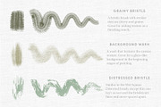 Classic Paints – Procreate Brushes, a Brush Add-On by Sadie Lew (Thumbnail 11 of 16)