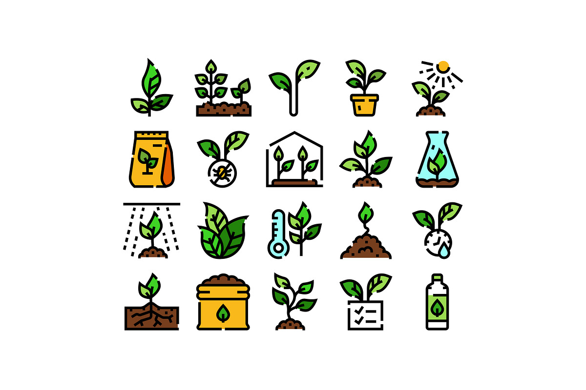 Plant growth seedling agriculture, an Object Graphic by pikepicture (Photo 1 of 3)