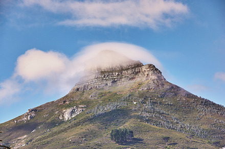 Lion's Head, a Photo by Peopleimages.com