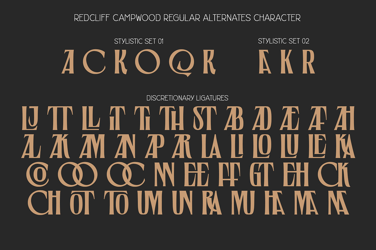 Redcliff Campwood, a Serif Font by din-studio.com (Photo 12 of 16)