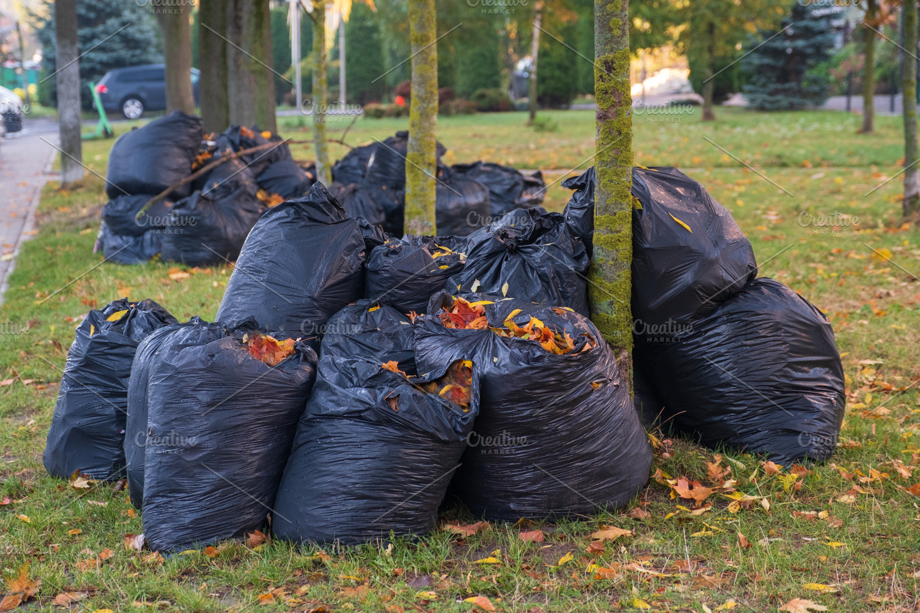Black plastic garbage bags filled with dry autumn leaves in city park. Pile of, a Nature Photo by Rohan Photography