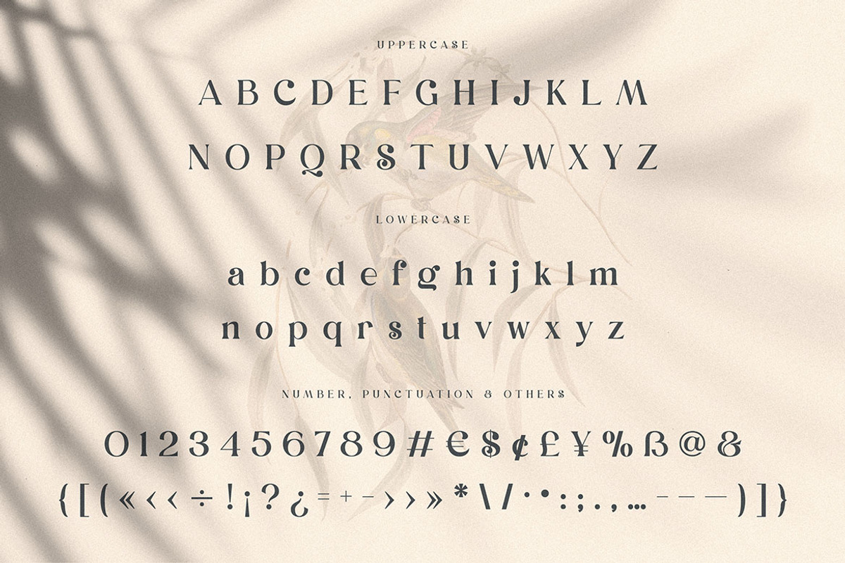 Dunsmuir - Modern Serif Font, a Serif Font by Cruzine (Photo 6 of 9)