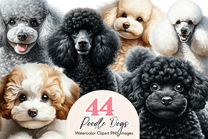 Poodle Clipart Bundle, an Animal Illustration by Bijou Bay