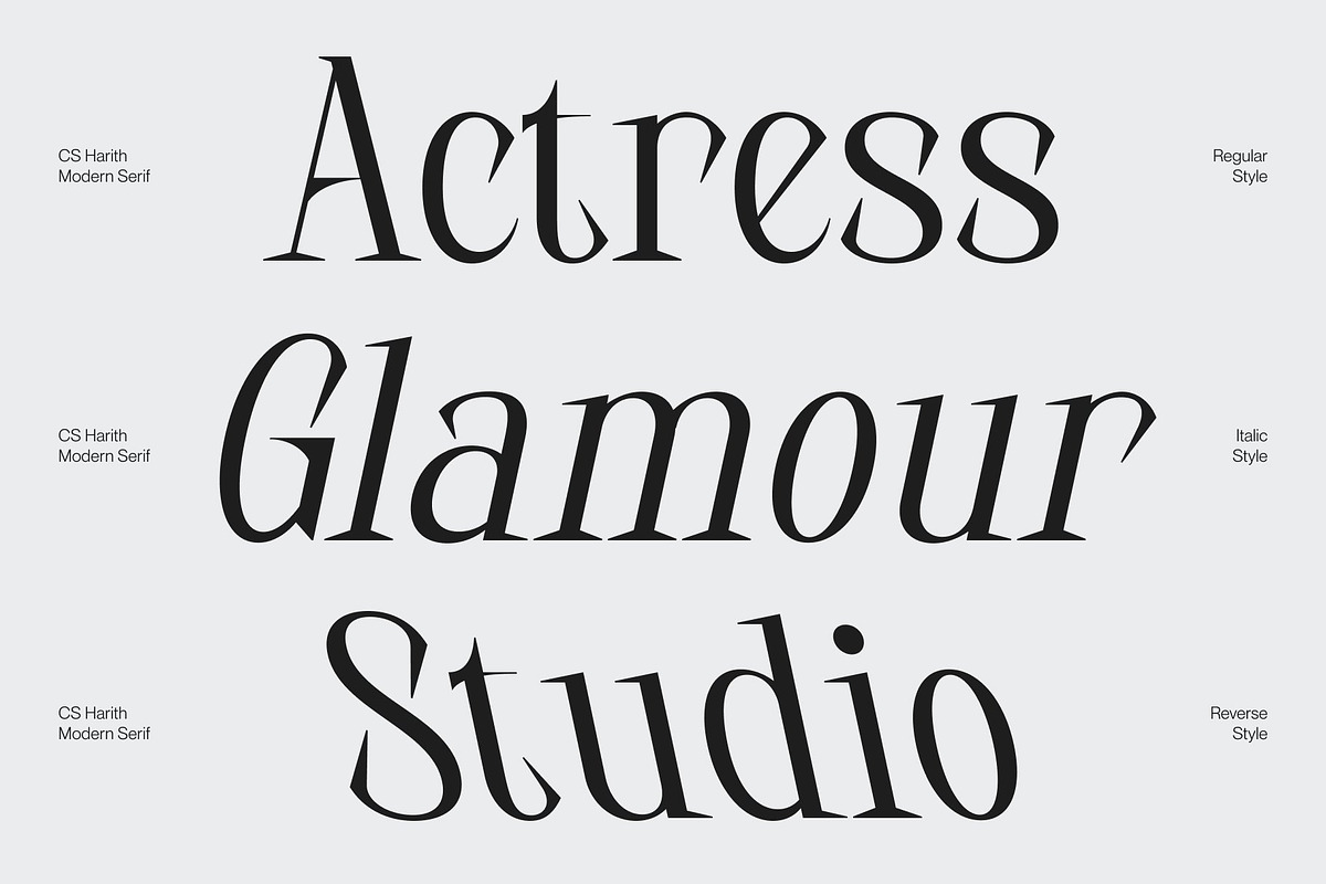 CS Harith – Modern Serif Font, a Serif Font by Craft Supply Co. (Photo 3 of 8)