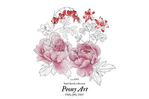 Peony Art