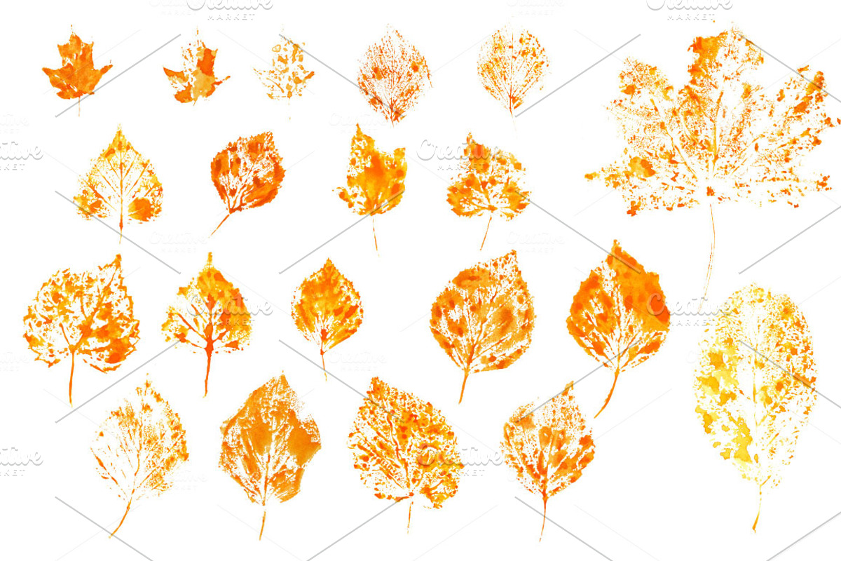 Watercolor Autumn Leaves Stamped, an Object Graphic by Sunny Design (Photo 3 of 3)