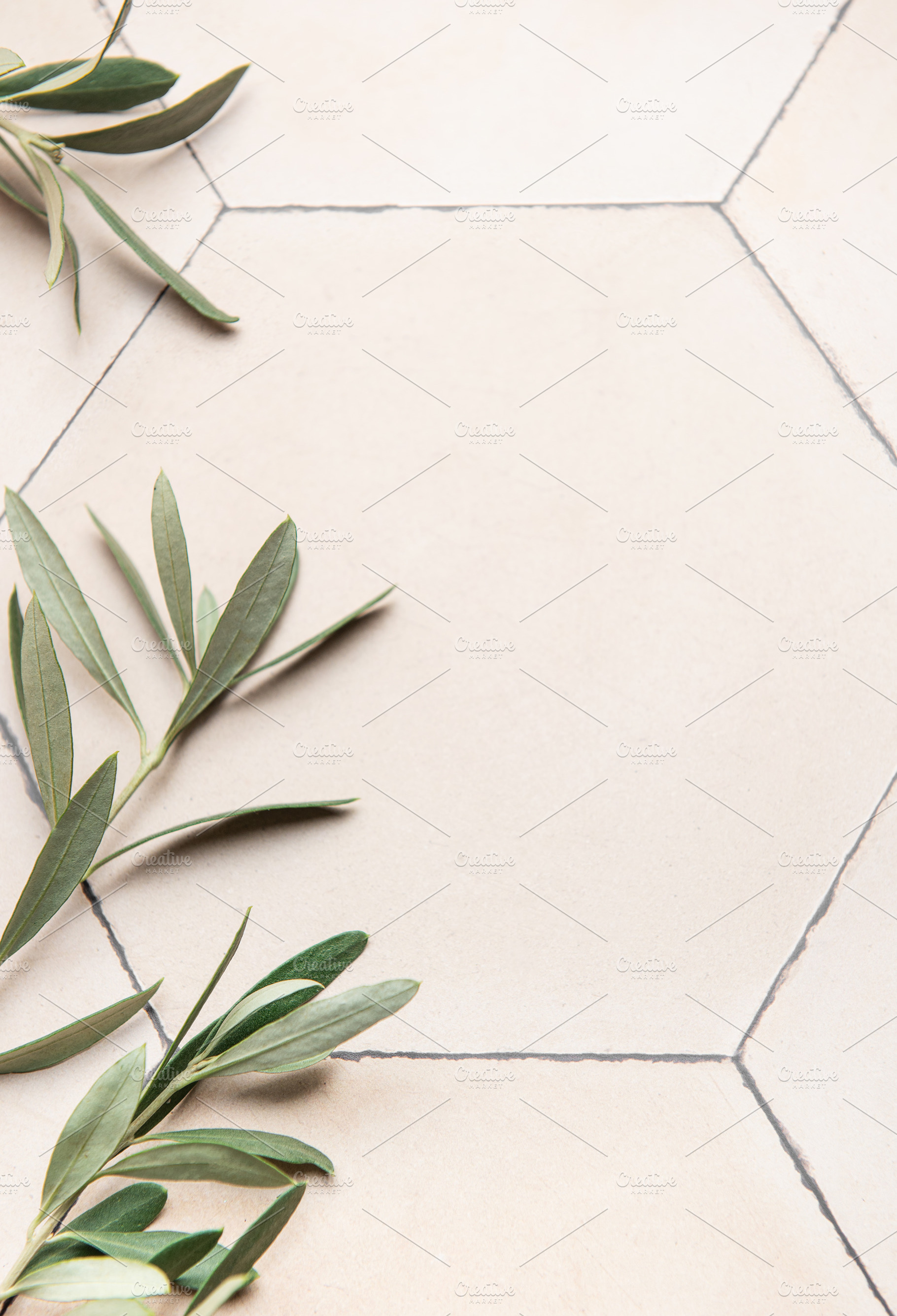 Olive branches framing neutral hexagonal tile background with co, a Background Photo by Olena Rudo