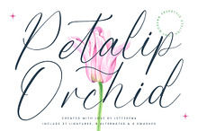 Petalip Orchid Modern Freestyle