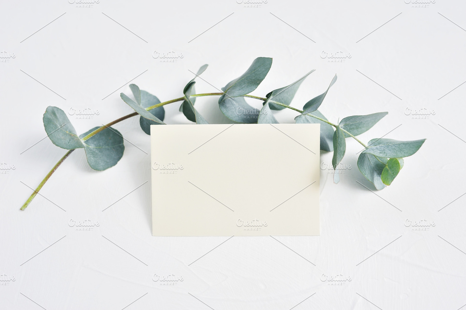Eucalyptus branch and sheet of paper, a Holiday Photo by Happy Letters
