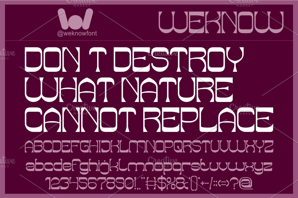 Endangered Beauty font, a Sans Serif Font by weknow (Photo 4 of 8)