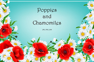 Red Poppies and Chamomile