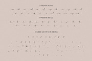 The Angellica - Calligraphy Font, a Script Font by StringLabs (Thumbnail 11 of 13)