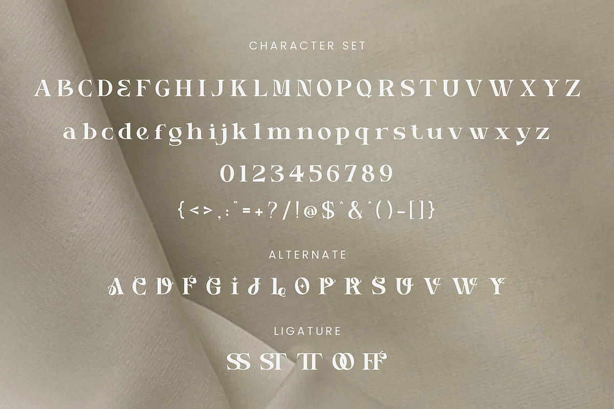 Stemiona - Modern Display Serif Font, a Serif Font by Aksapix Studio (Photo 10 of 10)