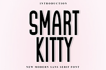 Smart Kitty