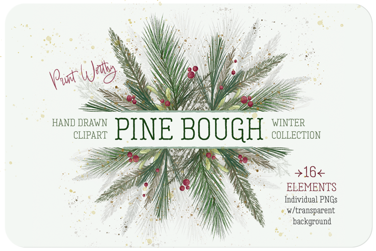 Pine Bough Elements, an Illustration by KLUGE+CO (Photo 1 of 6)