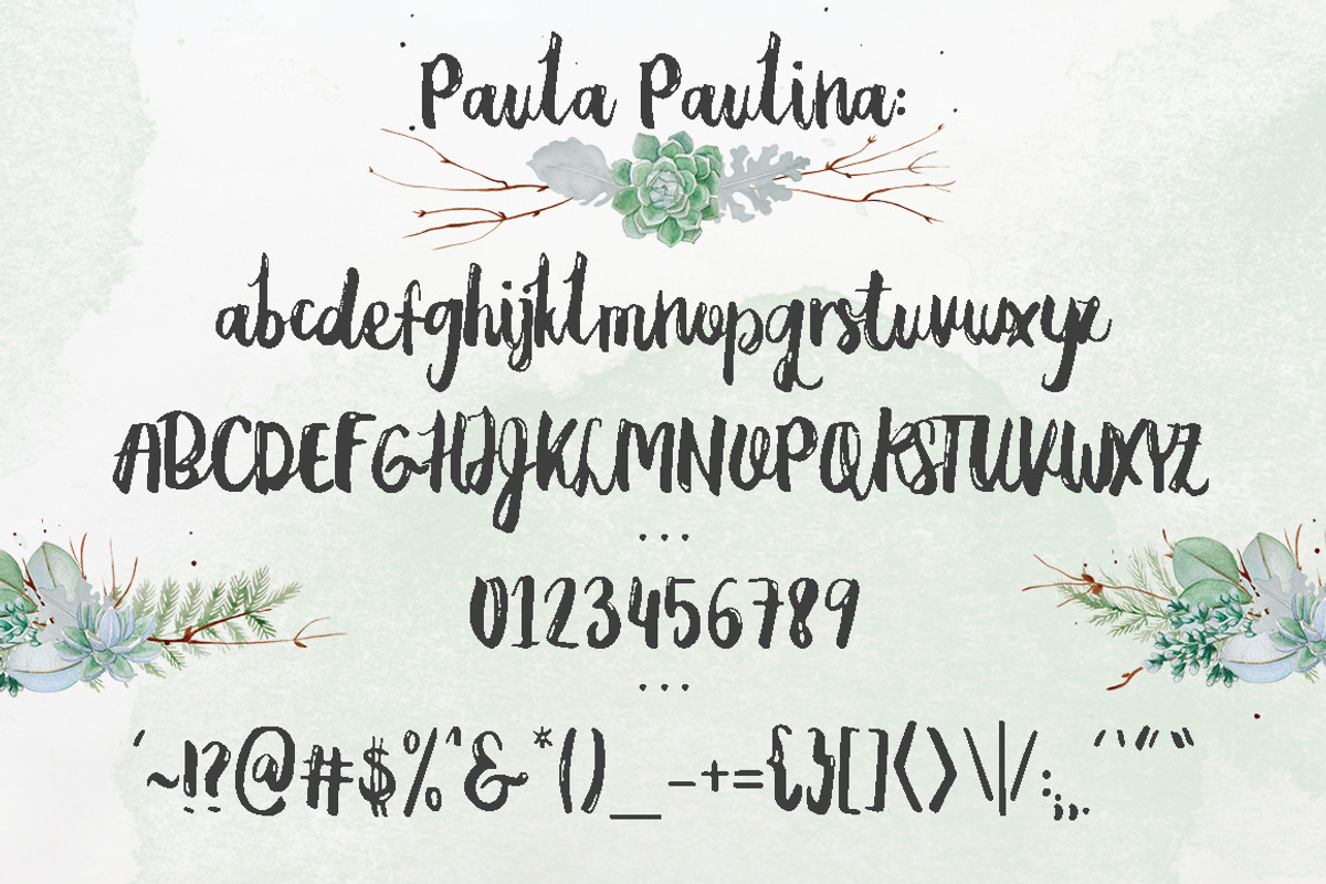 Paula Paulina Script preview 6