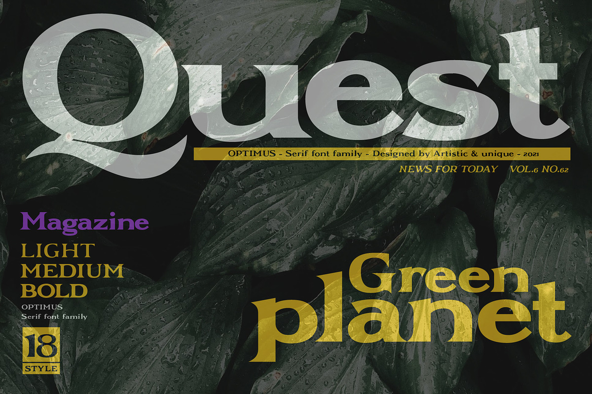 Optimus - Serif font family, a Serif Font by Artistic & Unique (Photo 7 of 12)