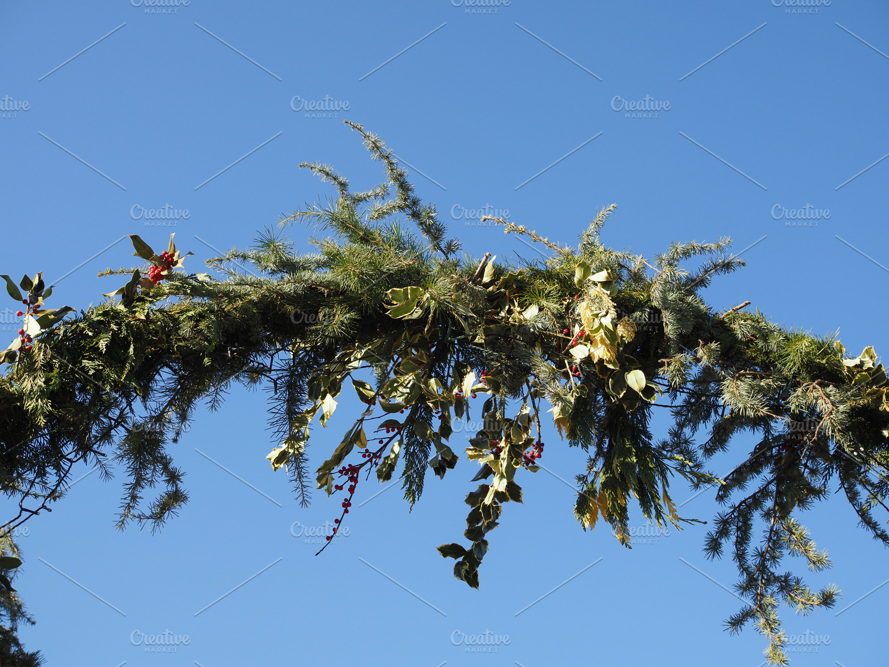 christmas decoration pine and holly, a Photo by WorldOfPhotos