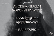 Mia Culver – Cool Display Serif, a Serif Font by Local Desk Designstudio (Thumbnail 2 of 24)