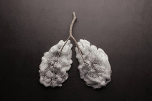 Cotton lungs covered with dirty dark dust on black background, l, a Photo by salmon.black