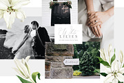 White Lilies Watercolor Set, an Illustration by Natalia Fedorova (Thumbnail 10 of 12)