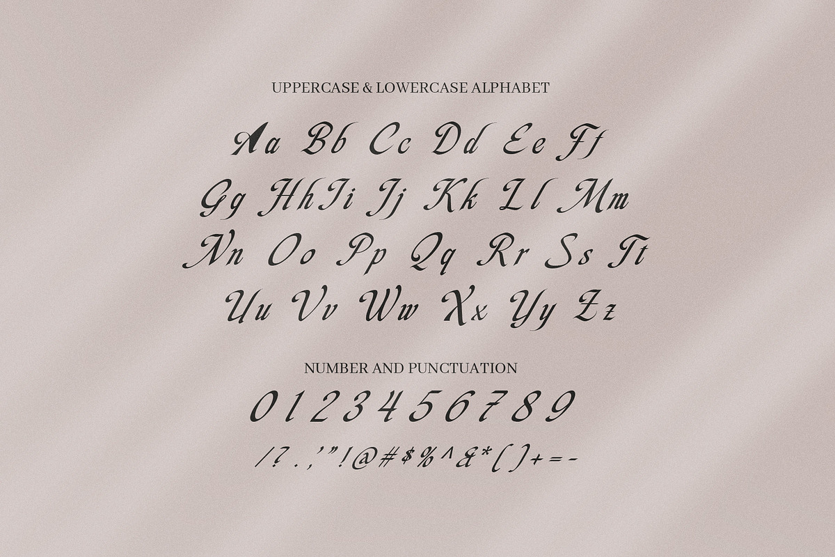 Berlina Elegant Script Font, a Script Font by Elegant Font (Photo 8 of 8)