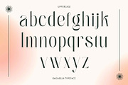 Bagnolia - Serif Display, a Serif Font by Nirmana Visual (Thumbnail 3 of 11)