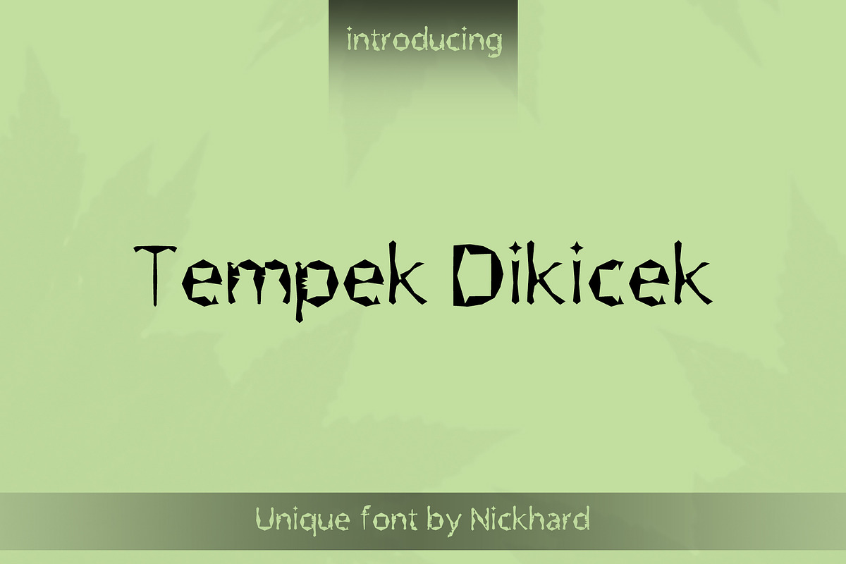 Tempek Dikicek | Display Font Sale, a Font by Nickhard (Photo 1 of 5)
