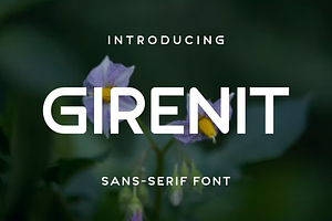 Girenit, a Sans Serif Font by lelevien