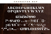 Monte Display Serif Font, a Serif Font by Storytype Studio (Thumbnail 13 of 15)