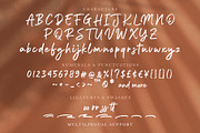 Outlook - Brush Script, a Script Font by Weape Studio (Thumbnail 10 of 10)