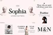 All Type Collection Font Bundle, a Script Font by Bosstype Studio (Thumbnail 3 of 45)