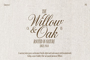 Old Money - Luxury Branding Fonts, a Font by AndrewPixelType (Thumbnail 7 of 10)