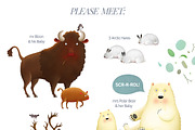 Animals of North America bundle, an Animal Illustration by CosyPic (Thumbnail 2 of 7)