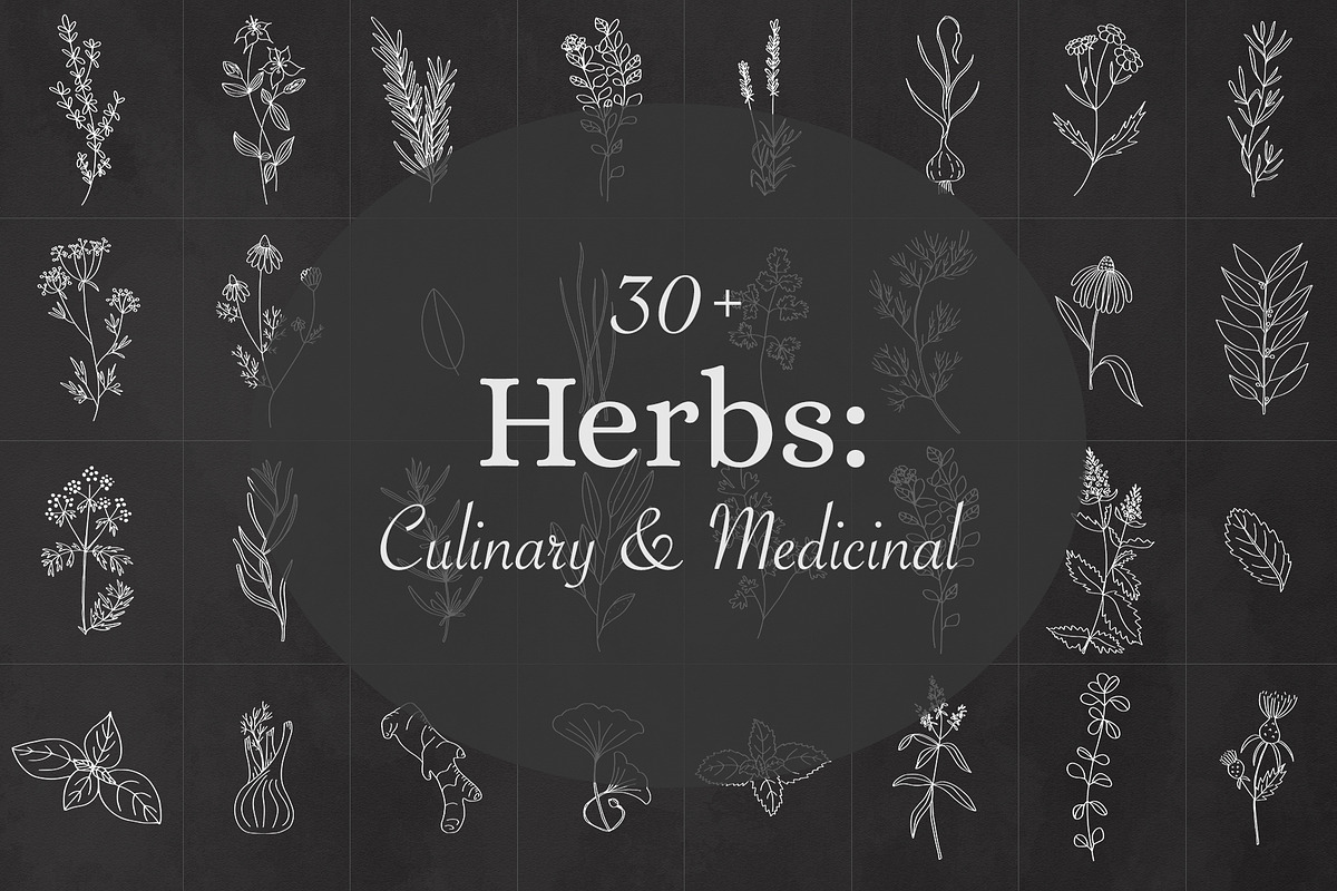 BOTANY BUNDLE - 6in1, a Food Illustration by amber&ink (Photo 9 of 19)