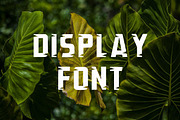 Green Jungle, a Slab Serif Font by Fourteen Letter (Thumbnail 3 of 7)