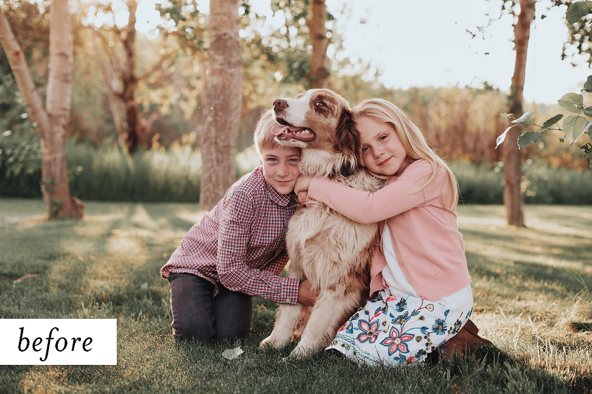 Light Leak Film Photography Overlays, a Layer Style Add-On by Ashley Alexandra Design (Photo 4 of 11)