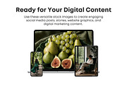 60 Green Stock Photos Bundle, a Beauty & Fashion Photo by Selenique Studio (Thumbnail 6 of 12)