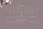 Denise Beauty, a Script Font by kerismaker (Thumbnail 5 of 10)