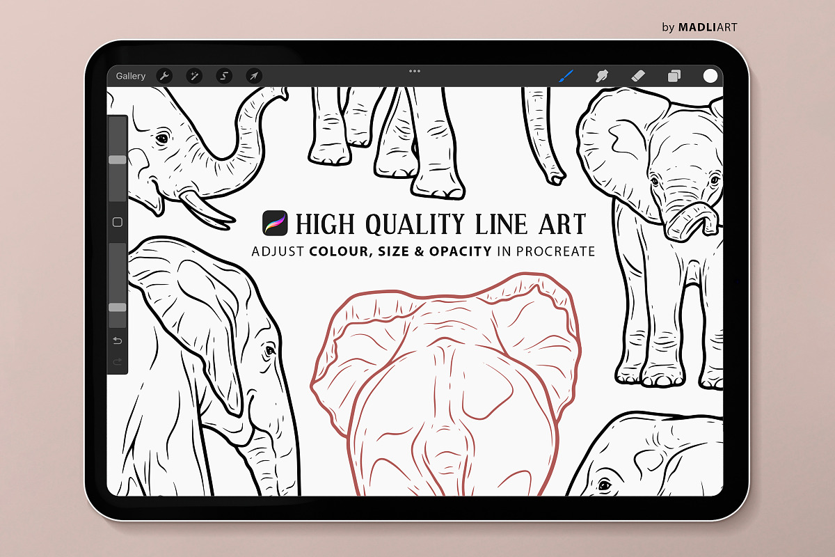 African Elephant Procreate Stamps, a Shape Add-On by MadliArt (Photo 3 of 4)