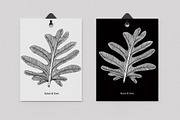 Botanical cards collection, a Decorative Illustration by Art AleshkaK (Thumbnail 4 of 8)