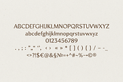 Soft Boheme Font, a Sans Serif Font by gafaroff studio (Thumbnail 6 of 7)