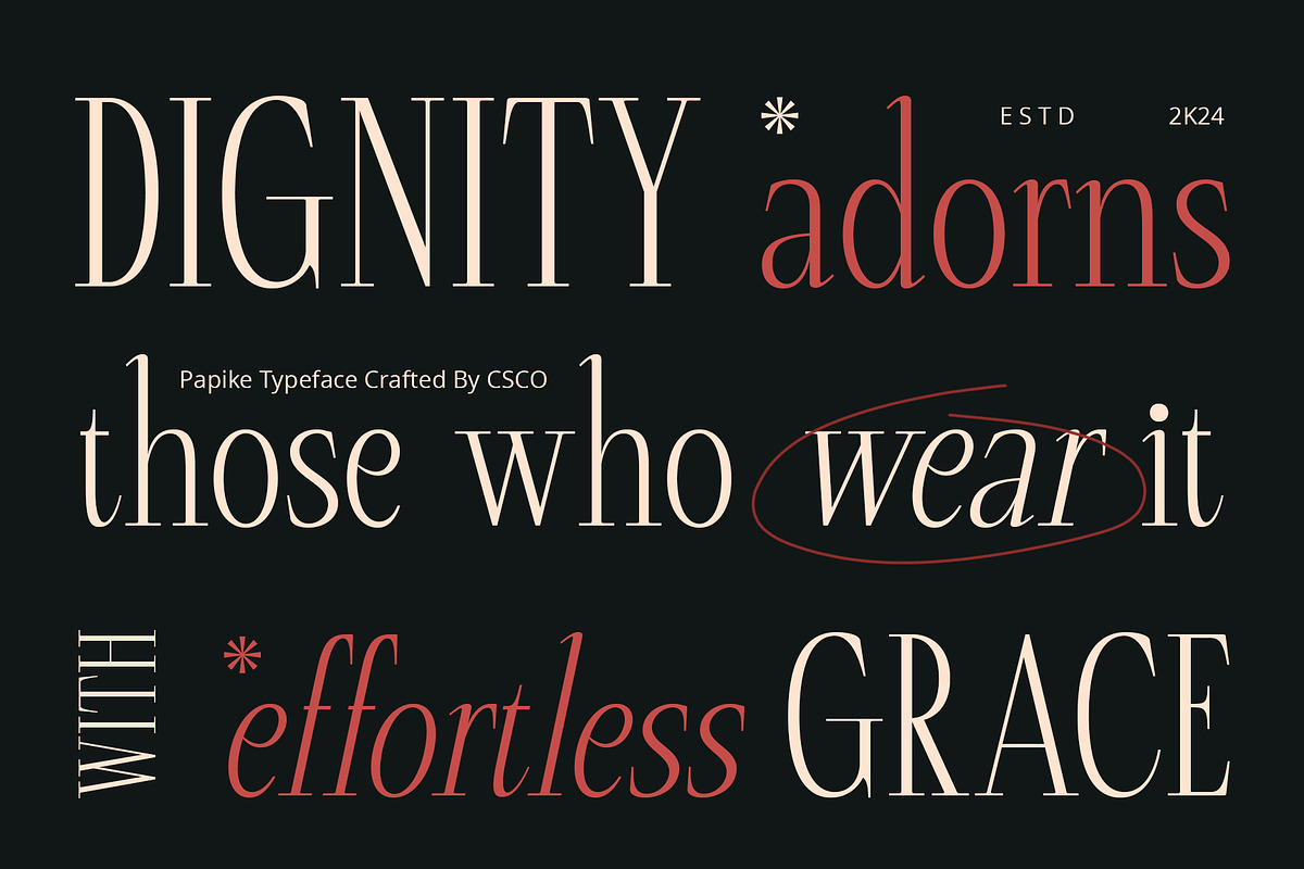 Papike – Modern Serif, a Serif Font by Craft Supply Co. (Photo 4 of 8)