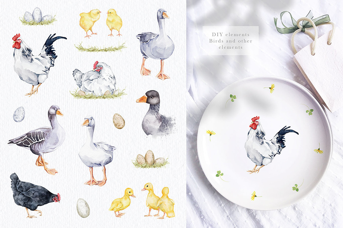 85% OFF BUNDLE 1990+ items, an Animal Illustration by Eva Katerina (Photo 14 of 19)
