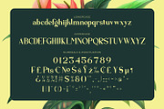 Zearlith - Modern Serif Font, a Serif Font by Rishsketch (Thumbnail 13 of 15)