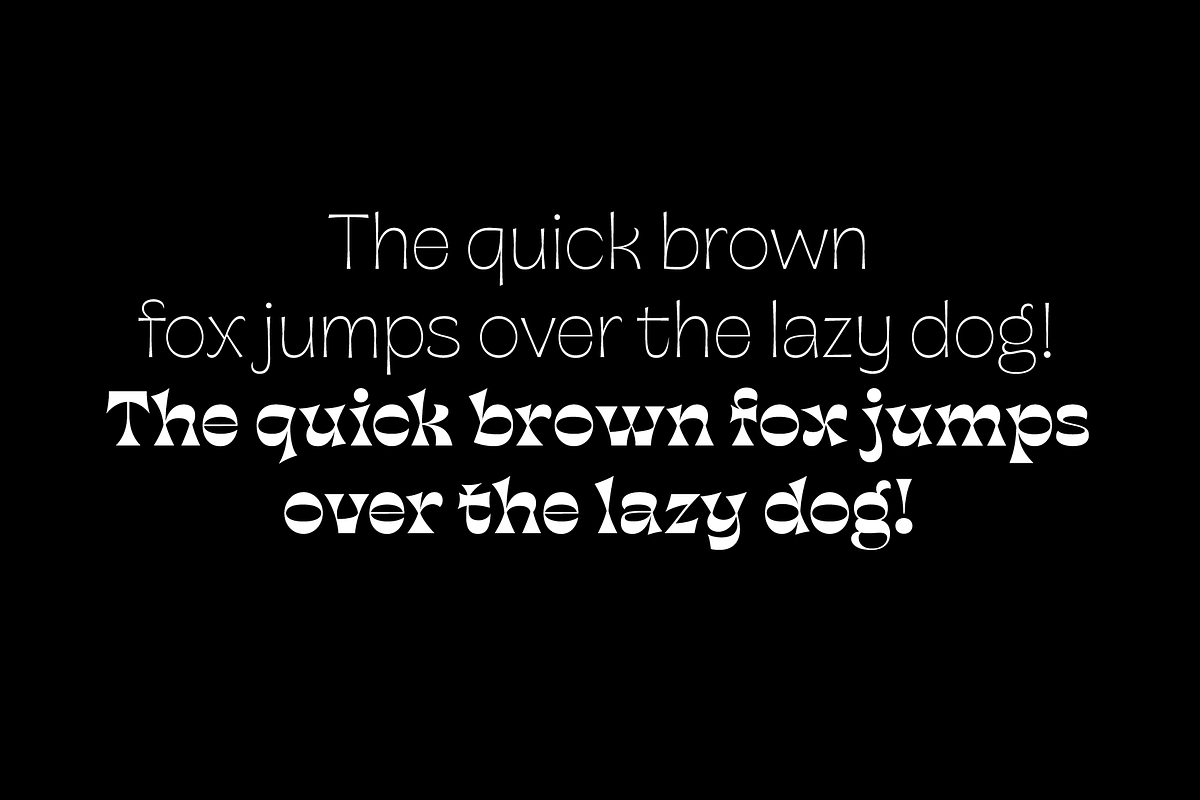 Horizona Reverse Contrast Font, a Sans Serif Font by TypeThis!Studio (Photo 5 of 9)