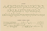 Perfect Sprouts | Whimsical Font, a Handwritten Font by type peace (Thumbnail 18 of 20)